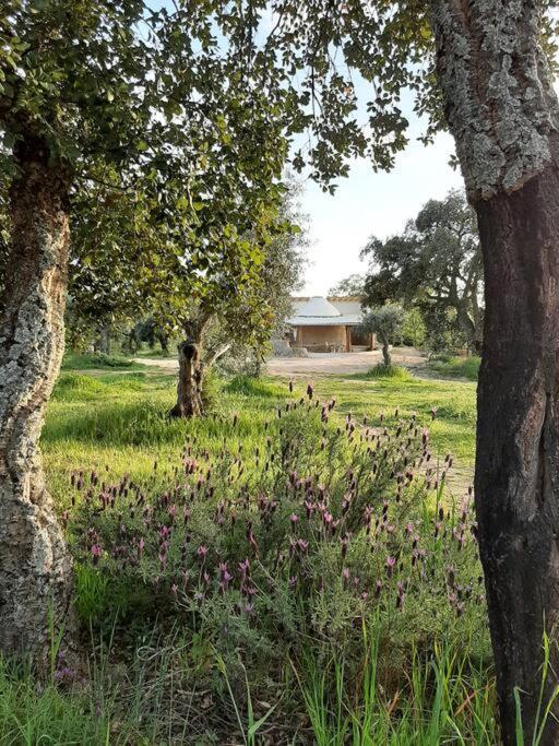 Quinta Terramadome: Dome Incomum & Responsavel Holiday home *