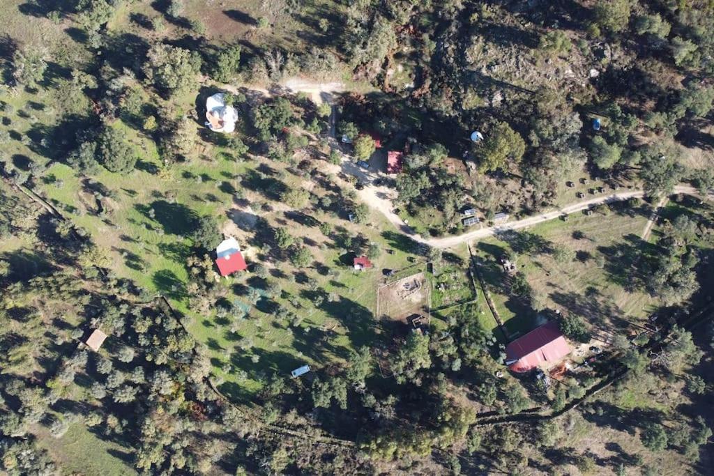 Quinta Terramadome: Dome Incomum & Responsavel Casa de Férias Penamacor