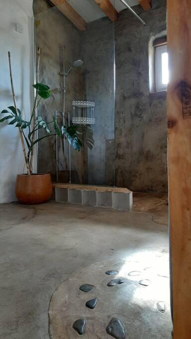 Quinta Terramadome: Dome Incomum & Responsavel