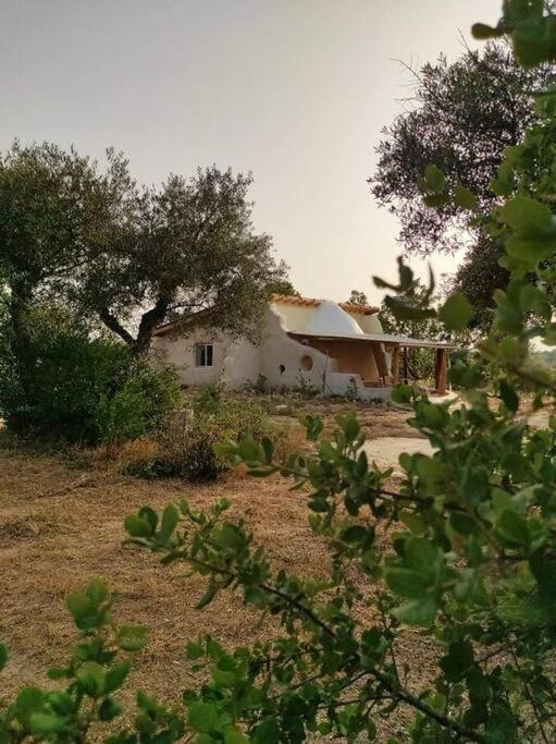 Quinta Terramadome: Dome Incomum & Responsavel * Penamacor