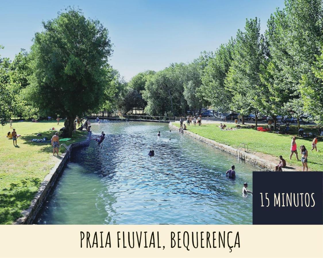 Holiday home Quinta Terramadome: Dome Incomum & Responsavel